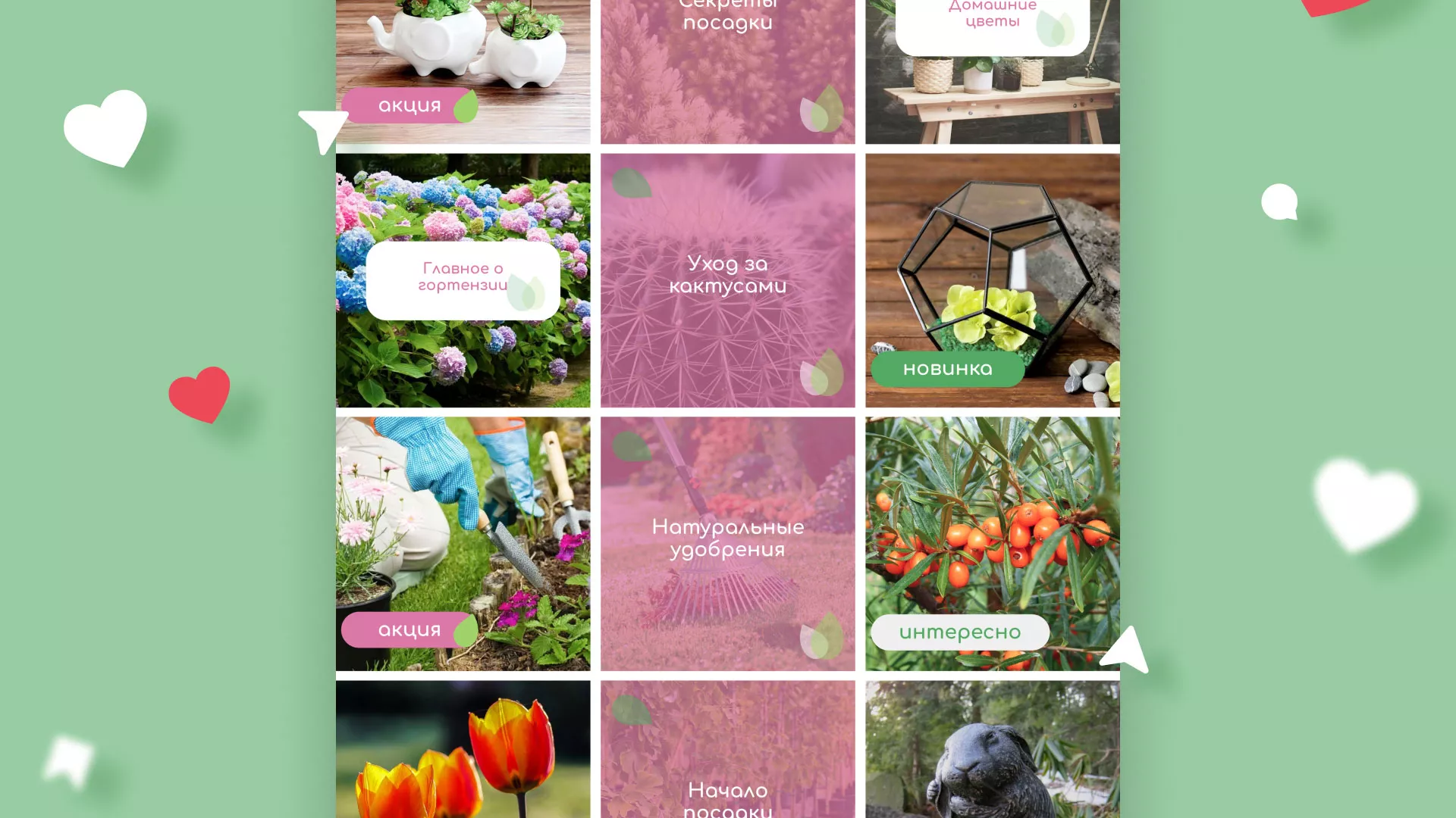 Разработка оформления профиля Instagram для магазина «Floraint» в Соколе
