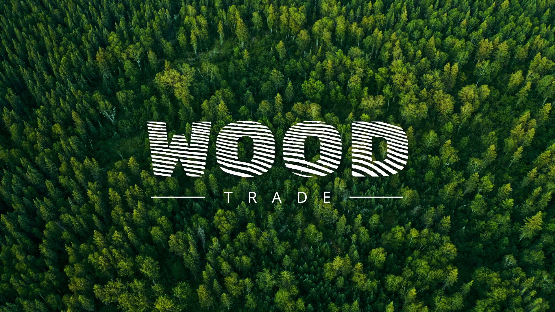 Разработка интернет-магазина компании «Wood Trade» в Соколе