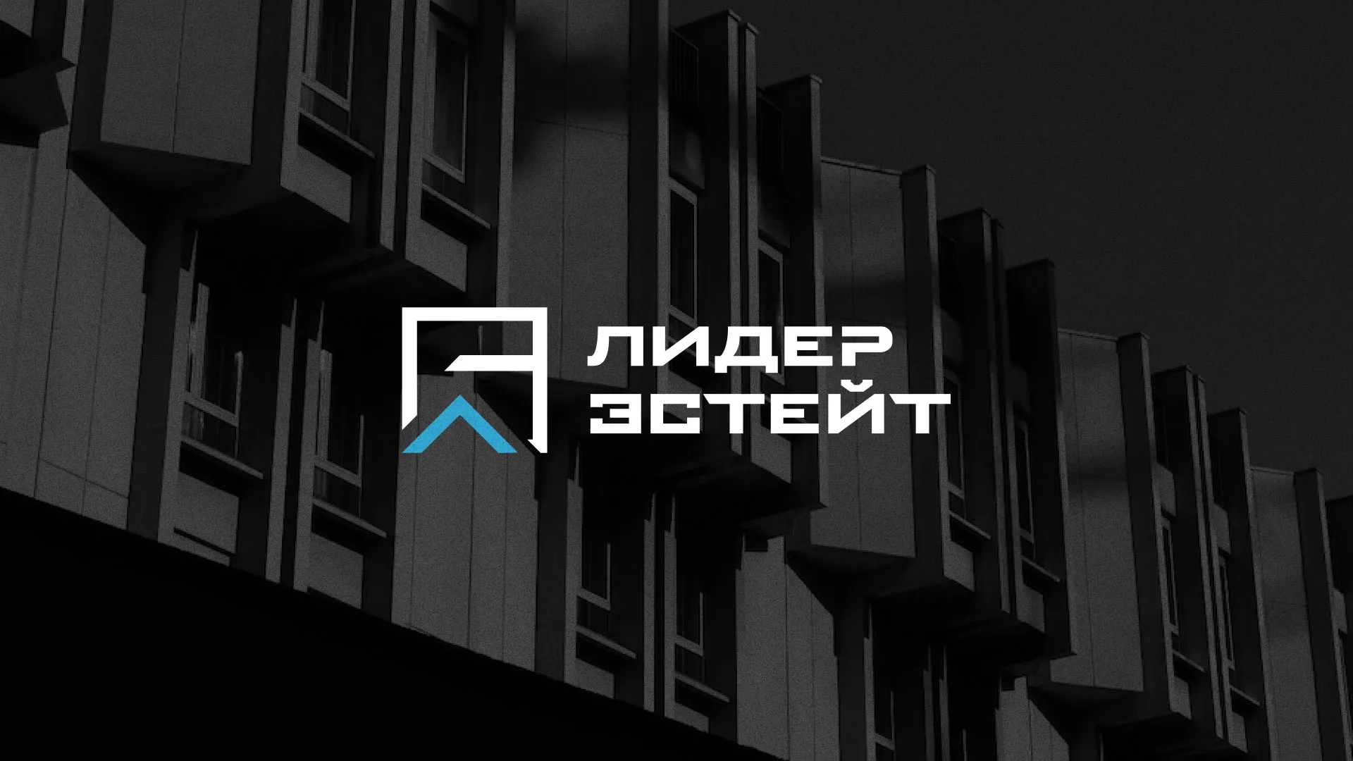 Разработка логотипа агентства недвижимости «Лидер Эстейт» в Соколе